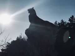 -帽儿山国家森林公园