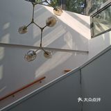 依山而建，满地马陆千足虫和栗子壳儿🌰