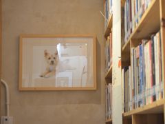 -石舍洒秀咖啡馆