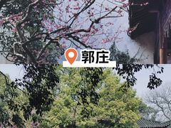 -杭州植物园