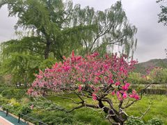 -国家植物园南园