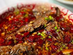 -欧记大排档·景德菜(上海首店)