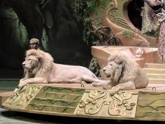 -广州长隆国际大马戏