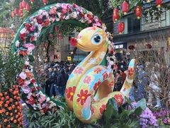 -越秀西湖花市(广州城市广场花卉店)
