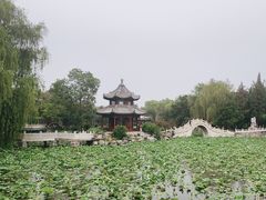 -莲池书院博物馆