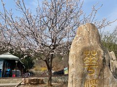 -北京西山国家森林公园