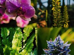 -上海辰山植物园