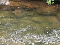 -重庆彩云湖湿地公园