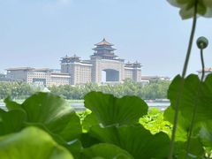 -莲花池公园