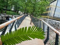 -白水寺森林公园