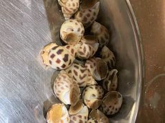 -青蓬蒸汽海鲜·深圳老字号·团建聚会(壹方城店)