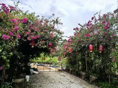 -扬美古镇景区
