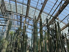 -南山植物园