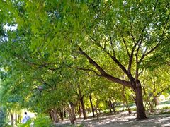 -元大都城垣遗址公园