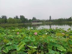 -西海子公园
