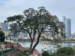-鼓浪屿内厝澳码头(轮渡站)