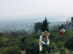 -缥缈峰景区