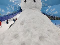 -世界之窗阿尔卑斯冰雪世界