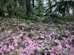 -陕西省西安植物园