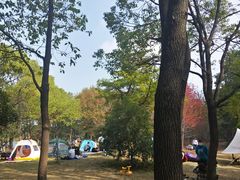 -东湖落雁景区