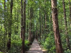 -同里国家湿地公园
