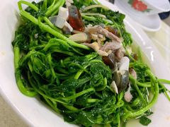 上汤西洋菜-龙坛美食店