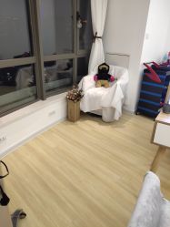 -E.L.K造型momopark店