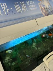 -美莱医学美容医院