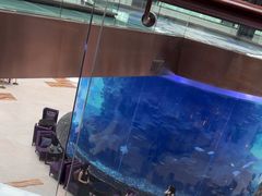 -OPEN開全日自助餐厅·牛肉火锅·海鲜(佛山希尔顿酒店)