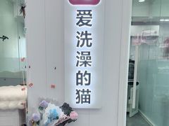 -爱洗澡的猫(望京店)