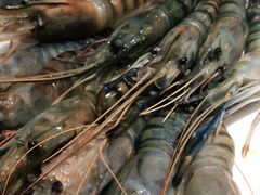 -钱小主·自助回旋烤肉火锅餐厅(东方新天地店)
