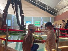 -诸城市恐龙博物馆