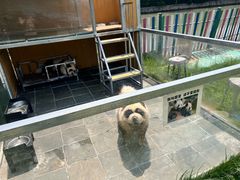-上海佘山茂御臻品之选酒店(原佘山艾美酒店)