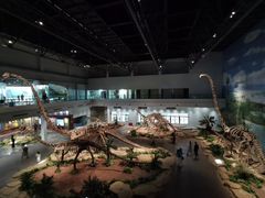 -自贡恐龙博物馆