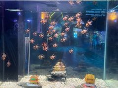 -南昌融创海世界
