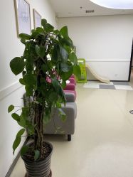 -美丽妈妈产后恢复中心(南桥旗舰店)