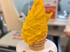 -野人先生现做冰淇淋(北京环宇荟店)