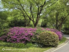 -新洲生态园
