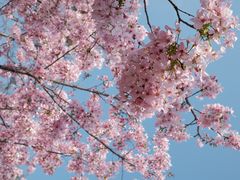 -福建鲤鱼洲酒店