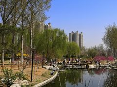 -燕郊植物园