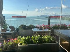 -野菌皇海景野生菌火锅(滨海大道店)