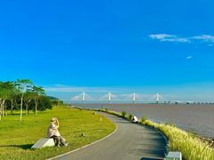 -芒洲湿地公园