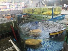 -绿雅居原生态农庄(小涌店)