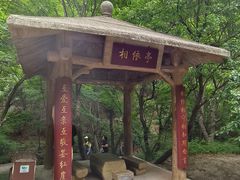 -红崖峡谷景区