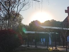 -三江森林温泉度假区