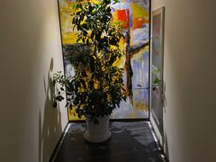 -金水养生(华新店)