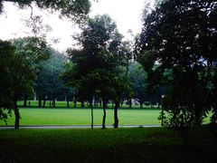 大草地-中山大学学者灵芝(园南路店)