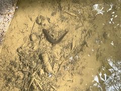 -东天目山风景区