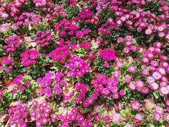 -华东政法大学(松江校区)