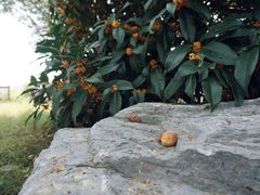 -帐篷客·溪龙茶谷度假酒店